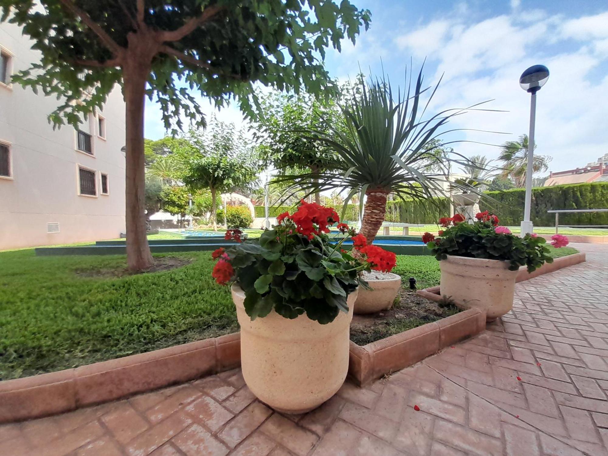 Costa Blanca Holiday Rental Altamar II El Campello Bagian luar foto